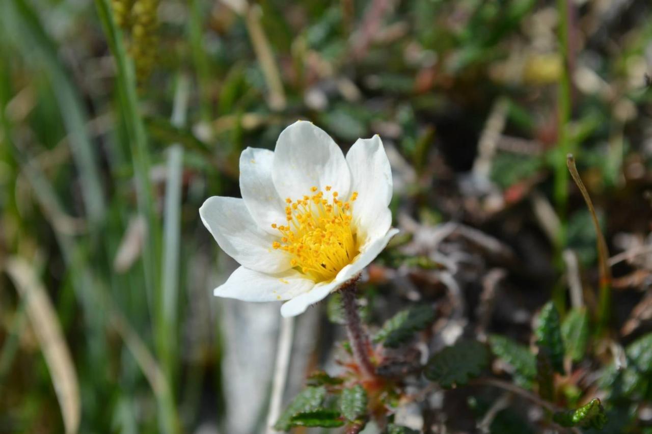 Lanelodge Doolin Bagian luar foto
