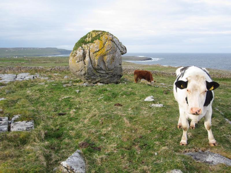 Lanelodge Doolin Bagian luar foto
