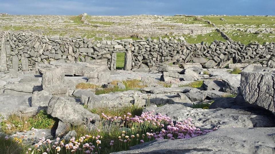 Lanelodge Doolin Bagian luar foto