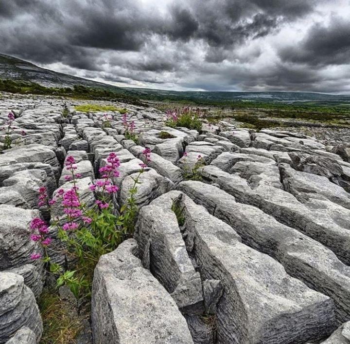 Lanelodge Doolin Bagian luar foto