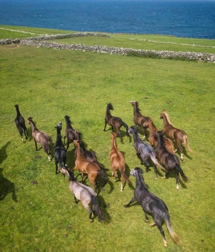 Lanelodge Doolin Bagian luar foto