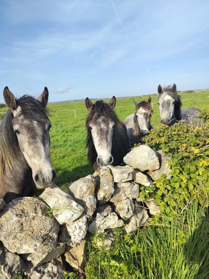 Lanelodge Doolin Bagian luar foto
